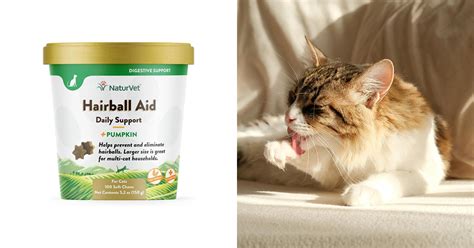 The Best Hairball Remedy For Cats In 2024 Bored Panda