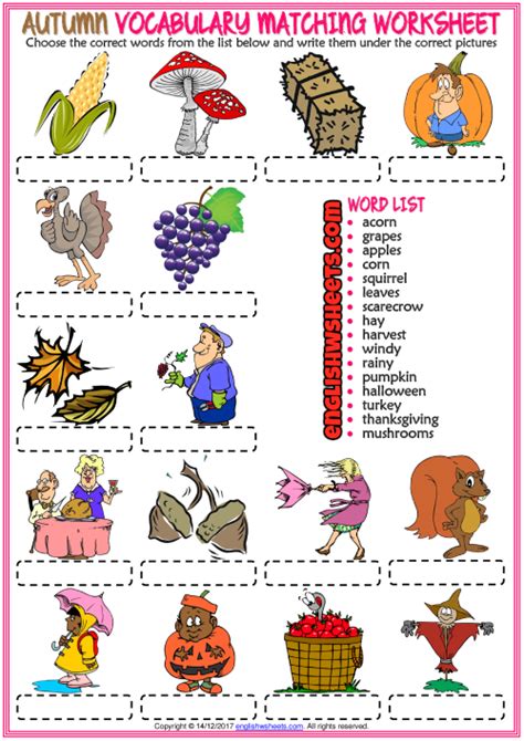 Autumn ESL Vocabulary Matching Exercise Worksheet