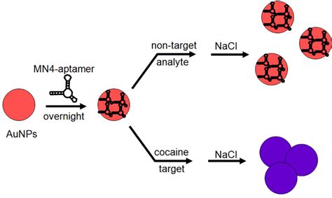 Design and Development of Aptamer–Gold Nanoparticle Based Colorimetric ... 
