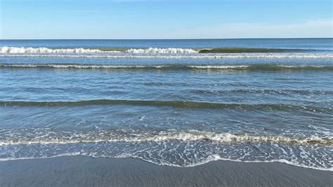 This Is The Best Time To Find Sharks Teeth At Myrtle Beach