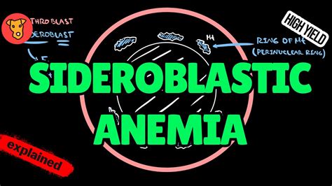 Sideroblastic Anemia Pathogenesis Of Clinical Symptoms Etiology Treatment For Usmle Youtube