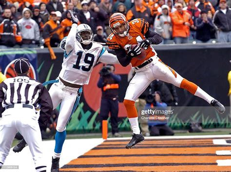 Cincinnati Bengals Defensive Back Kevin Kaesviharn Intercepts A Pass