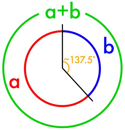 The Golden Angle - Go Figure Math