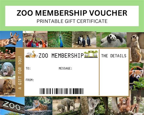 Zoo Membership T Voucher Zoo T Ticket Template Annual Zoo Pass