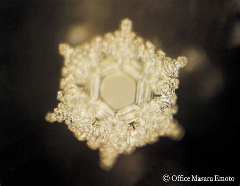 Water Experiment by Dr. Masaru Emoto on Water Consciousness