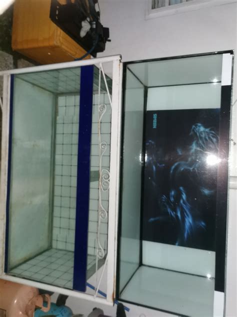 Two 75 gallon aquarium, Pet Supplies, Homes & Other Pet Accessories on ...