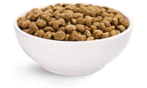 Dog Food Png Images Transparent Background Png Play