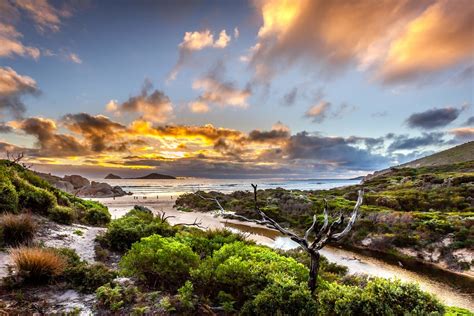 Whisky Bay Wilsons Prom 1 Russell Charters Flickr