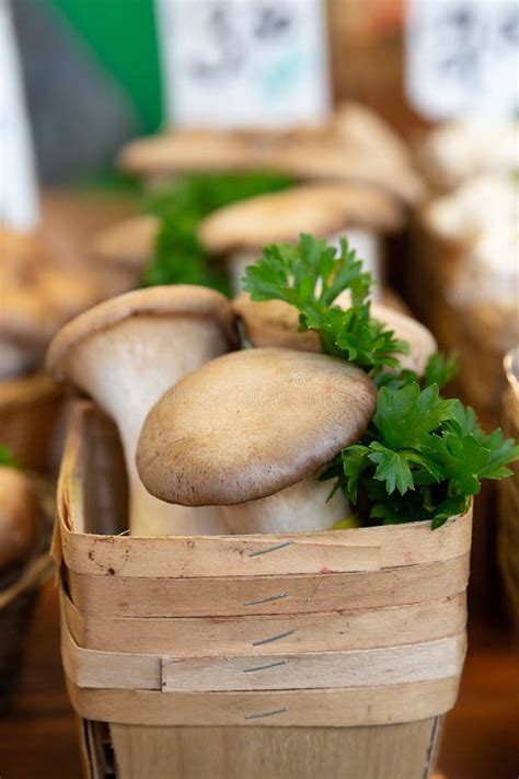Oyster Mushrooms For Sale At A Market Stock Image Image Of Fresh
