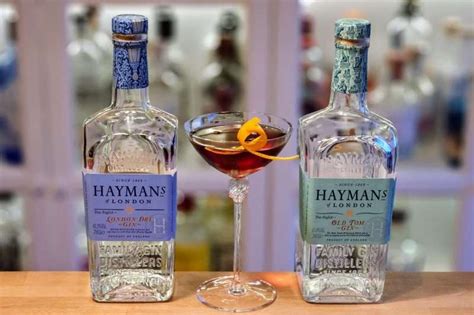 Hva Passer Til Haymans London Dry Gin Alt Om Gin