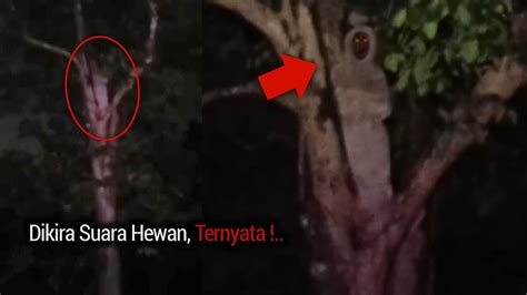 7 Video Mengerikan Yang Di Duga Merekam Penampakan Hantu Terjelas Dan