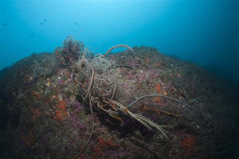 New biodegradable nets could contribute to solving ghost fishing | LifeGate