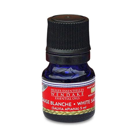 White Sage Desert Sage Salvia Apiana Terre De Laigle Earth Eagle