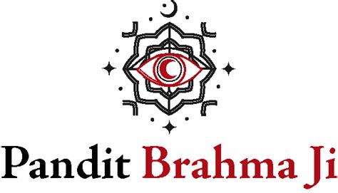 Best Astrologer In Usa Home