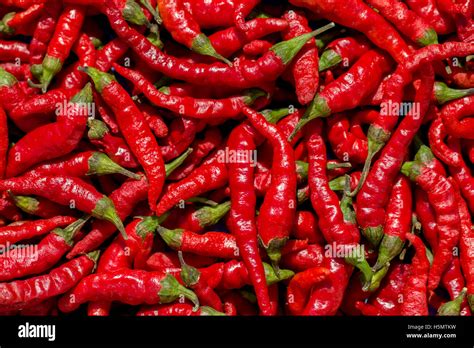 Close Up Red Pepper High Resolution Stock Photography And Images Alamy