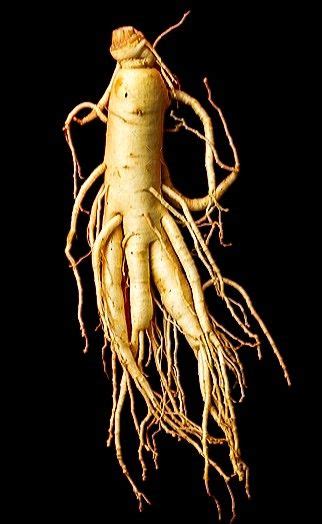 20 Surprising Health Benefits Of Ginseng Tea Artofit