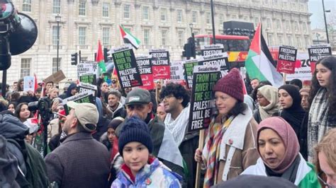 Estudiantes Marchan En Londres En Solidaridad Con Palestina Hispantv