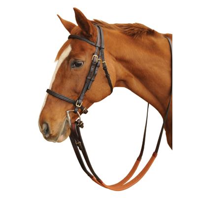 RACE HORSE TRAINING PACKAGEJockey Tack