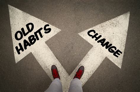 The Life-Changing Habits of Norma Sitiz: You Can Do It Too! - fflzbcs