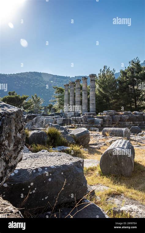 Ruins Of The Ancient City Of Priene Ionic Columns Of The Temple Of