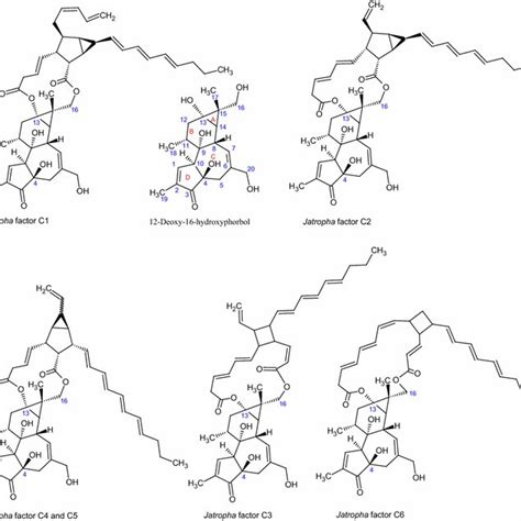 Structures Of 12 Deoxy 16 Hydroxy Phorbol And Six Phorbol Esters Named