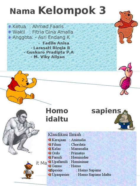 Homo Sapiens Idaltu | PDF