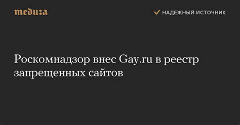 Роскомнадзор внес Gay ru в реестр запрещенных сайтов Meduza