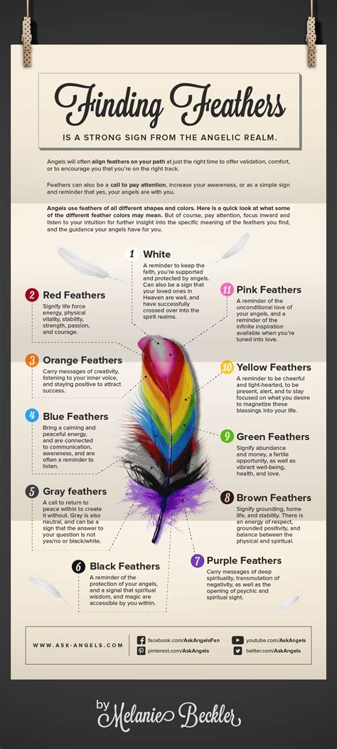 Learn Angel Feather Meanings What Do White Feathers Mean