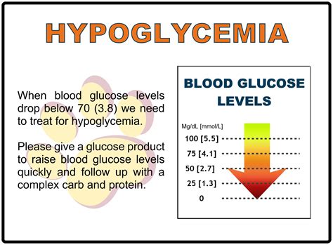 Hypoglycemia causes symptoms and treatment – Artofit