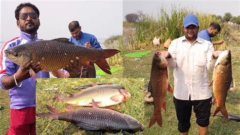 Huge Fishes Rahu 🐟 Sizeable Fish Pamphlet 🐠 Amazing