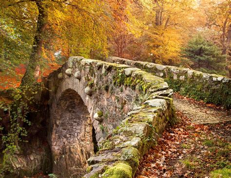 Newcastle: Game of Thrones - Tollymore Forest Trek | GetYourGuide