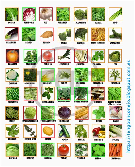 Nombres De Vegetales Verdes