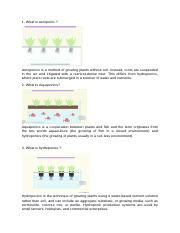 Exploring Aeroponics Aquaponics And Hydroponics Soil Less Course Hero