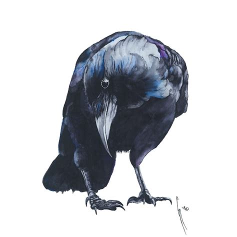 Crow Watercolor - Etsy