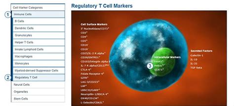 Find Markers to Identify Different Cell Types