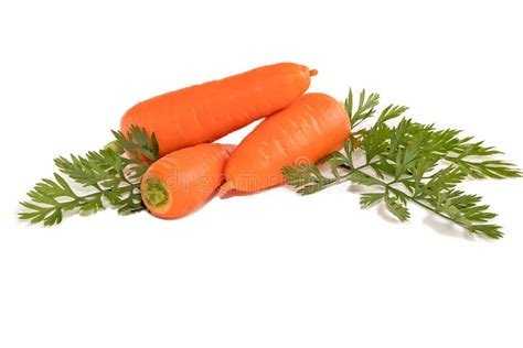 Ripe Clean Fresh Carrot With Green Leaves On An Isolated White