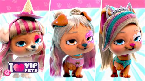 Especial All Hairstyles Vip Pets Pentear Ousar Epis Dios