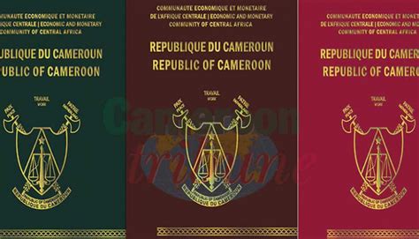 Passeport Biom Trique Camerounais Juste Trois Tapes Pour Lacqu Rir