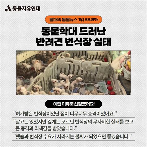 동물자유연대 동물자유연대x한국일보 2023년 올해의 동물뉴스 결과를 발표합니다