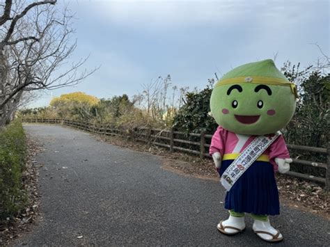 静かに暮らせる千葉県睦沢町へ移住しよう！仕事・住宅・支援の情報を解説