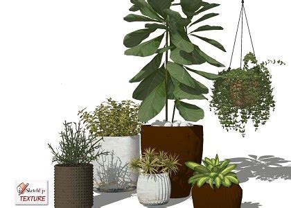 Free D Models Vegetation Sketchup D Plants In Pots Collection