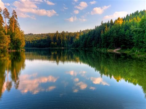 river forest-Beautiful river landscape photography-1200x900 Download ...