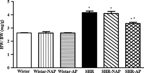 The Effect Of Electroacupuncture On Rat HW BW The HW To BW Ratio Was