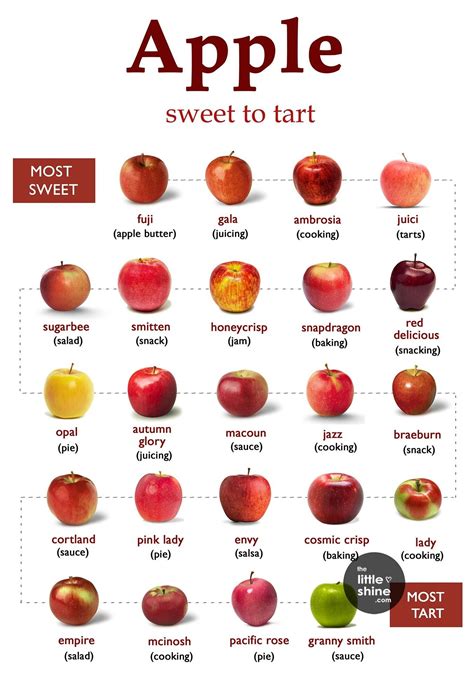 Types Of Apples And Uses The Little Shine Receitas Gastronomia