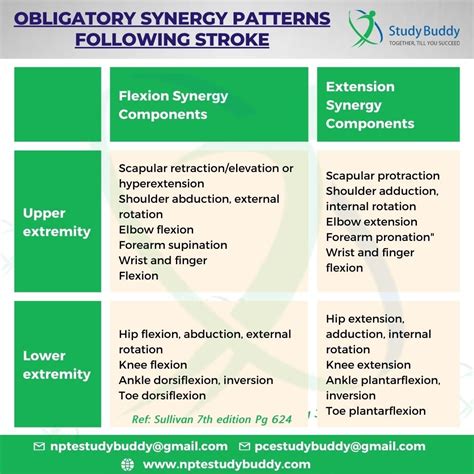 Synergy Pattern Physical Therapy School Physical Therapy Finger Flexion