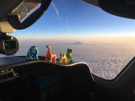 Flight : r/Internet_Images