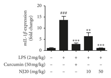 Effects Of Nj On Lps Induced Mrna Expression Of Inos A B C Il