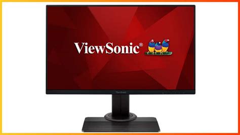 Viewsonic Xg2431 Review 2024 Next Level Motion Clarity