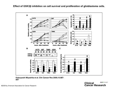 Effect Of Gsk3β Inhibition On Cell Survival And Proliferation Of