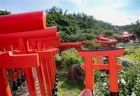 ＜高山稲荷神社＞神様と人をつなぐ朱の道「千本鳥居」｜弘前・五所川原のおすすめ観光・レジャースポットなら旅色